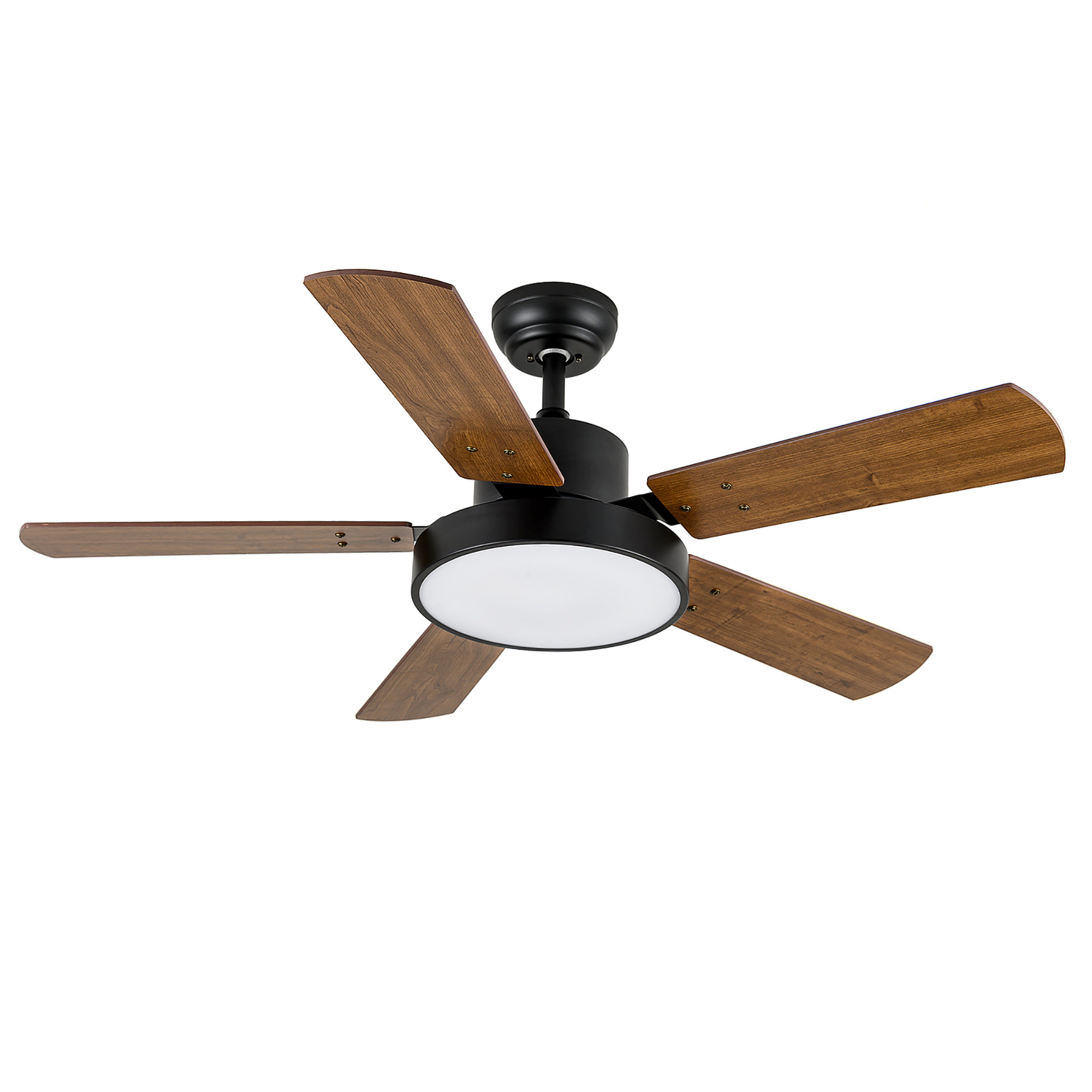 Wrought Studio Desmone 44 inch Ceiling Fan with LED Light Remote