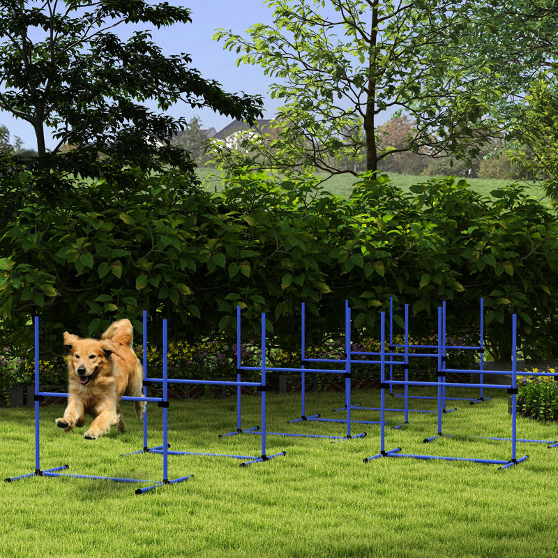 Équipement de dressage d'agilité pour chien 8 pièces avec barres réglables, couleur bleue, sac de transport pour garder la trousse de saut en hauteur, rangement et transport