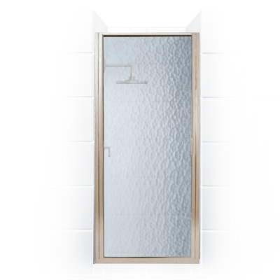 Porte de douche encadrée l 30 "x H 69" Paragon Series