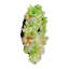 Couronne florale d'hortensia-1682791959-1682791958