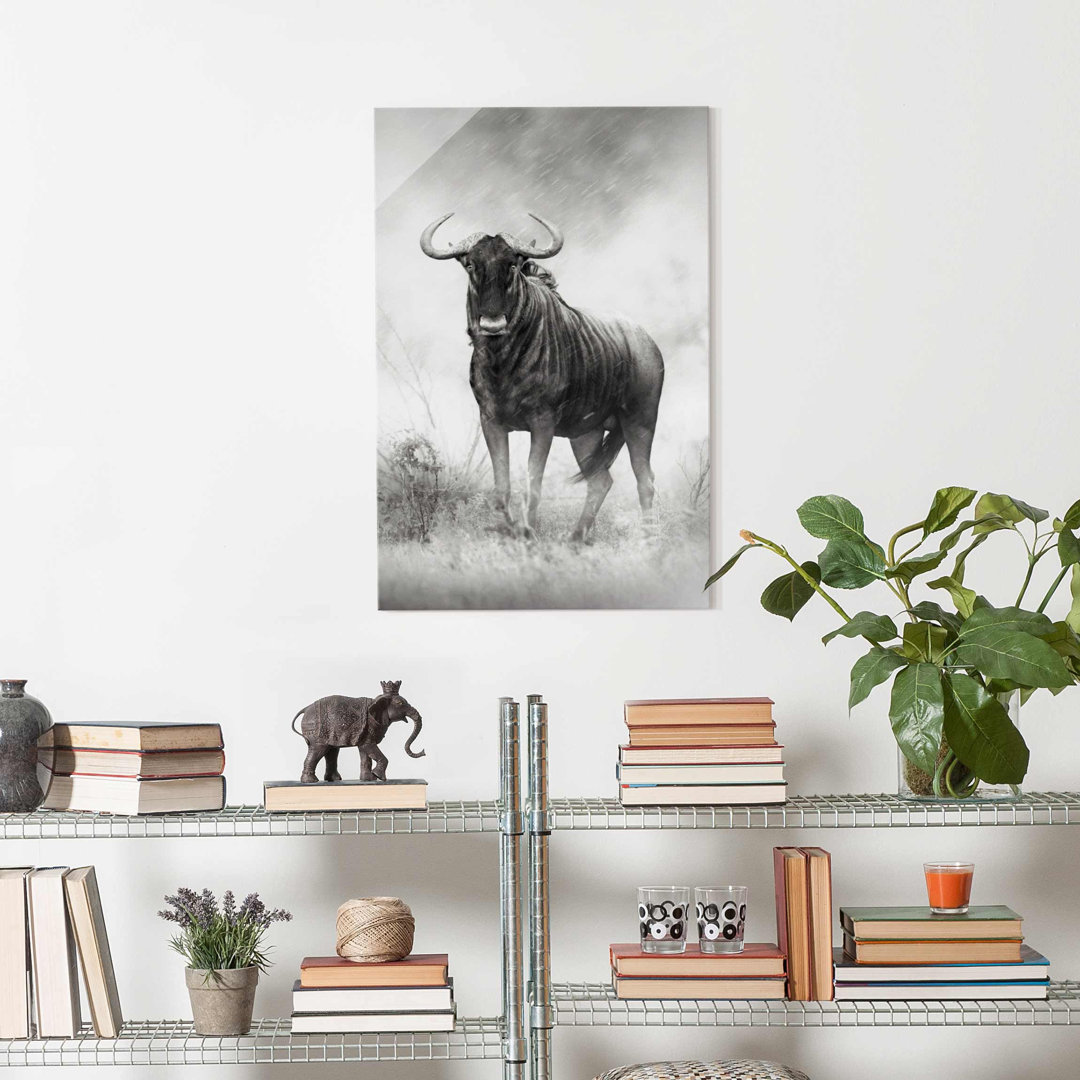 Glasbild Staring Wildebeest