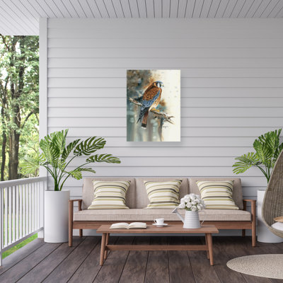 Dave Bartholet Kestrel Outdoor  Canvas