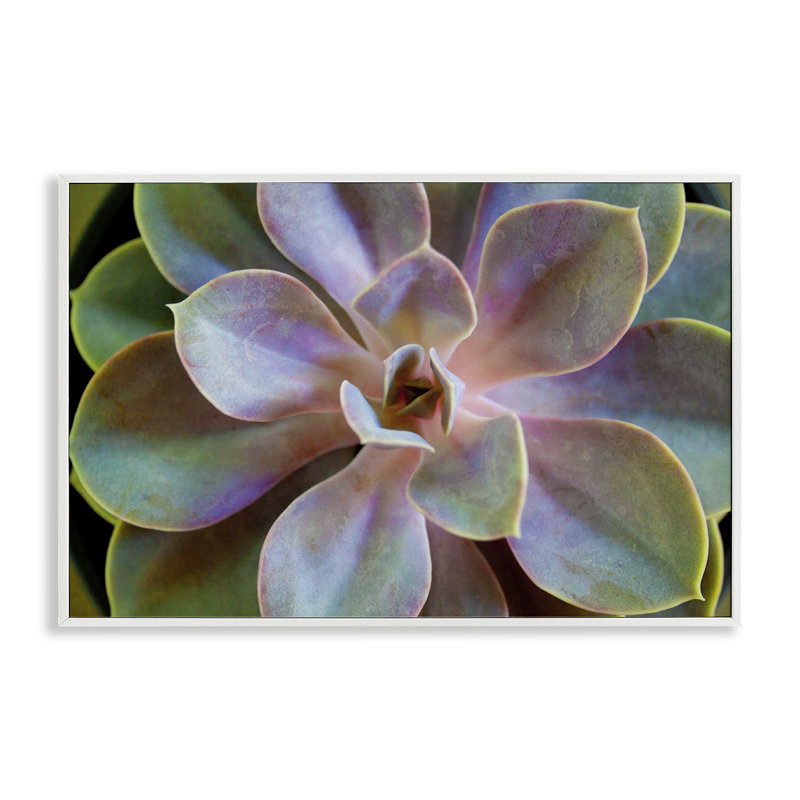 «Giclee Art» par Susan Bryant, Estampe numérique encadrée blanc bord de mer, H 12 po x l 18 po