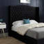 Aldermary Upholstered Bed-720279805-720279801