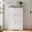 Armoire à chaussures pour le vestibule avec 2 tiroirs rabattables