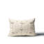 Hyatt Indoor/Outdoor Lumbar Throw Pillow-101597878-101597876