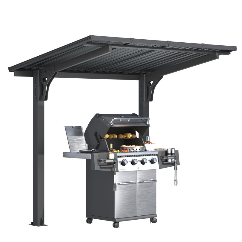 Abri d'auto extérieur en métal pour terrasse, H 87 po x l 101 po x P 62 po