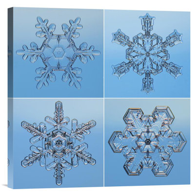 " Snowflakes Seen Through Microscope "