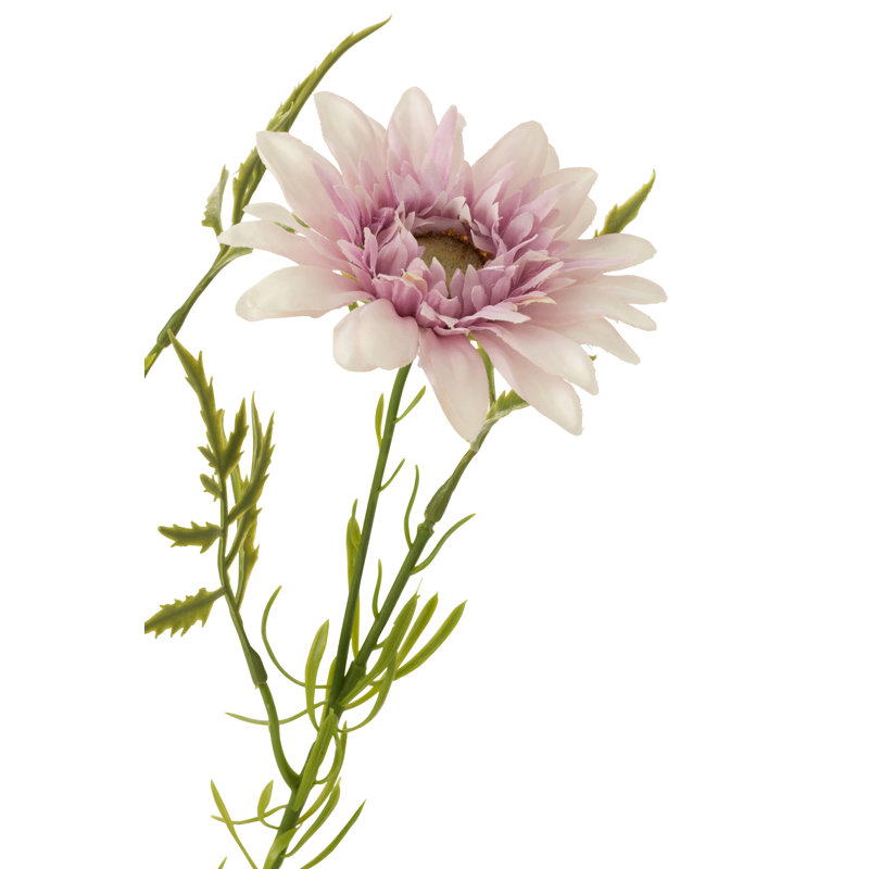 Daisy Arrangement, Light Purple