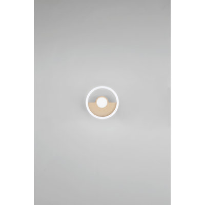 Aucion Flush Mount