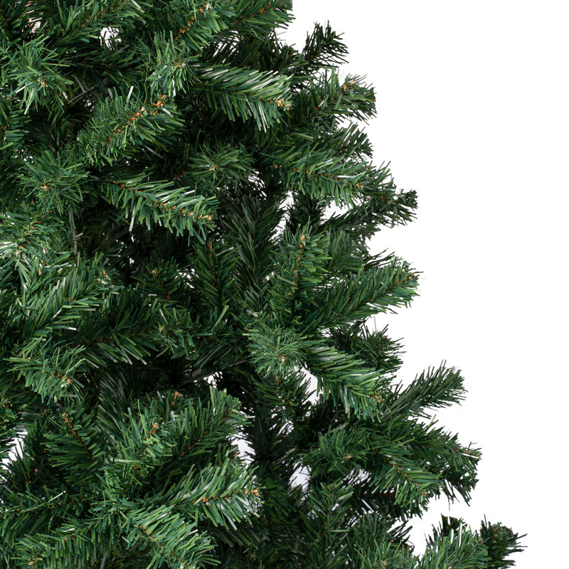 Linden Spruce Tree, 9' H
