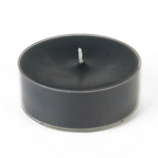 Unscented Tealight Candle with Plastic Holder, White, Set of 12