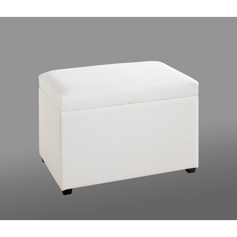 Meilich Faux Leather Accent Trunk