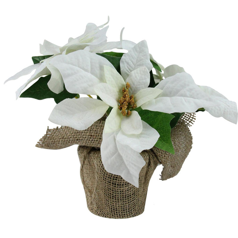 Arrangement floral de Noël 10 po poinsettia