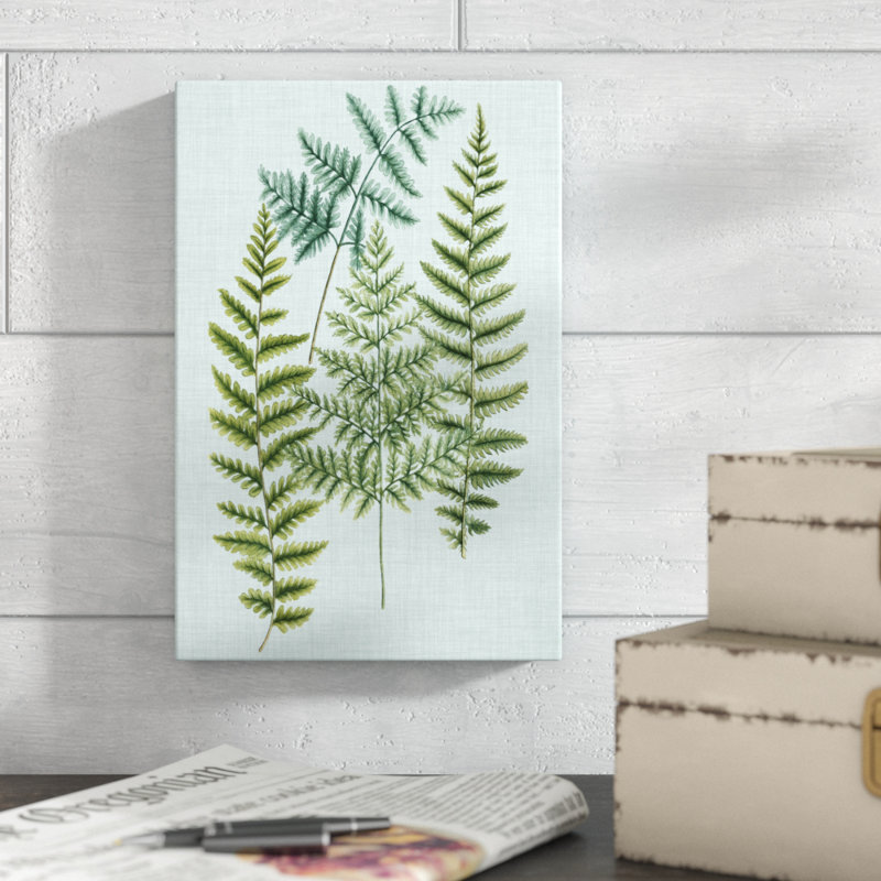 'Spa Ferns II' by Weinmann - Wrapped Canvas Graphic Art Print, Wrapped Canvas, 30cm H x 20cm W
