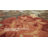 Voshell Floral Indoor Rug-650172774