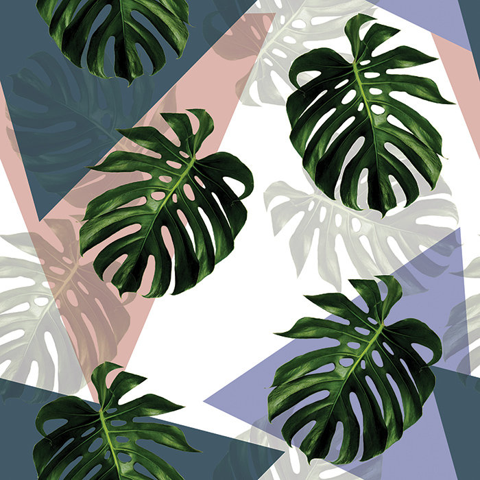 Kleopatra Smooth Matte Mural, 208 x 146cm