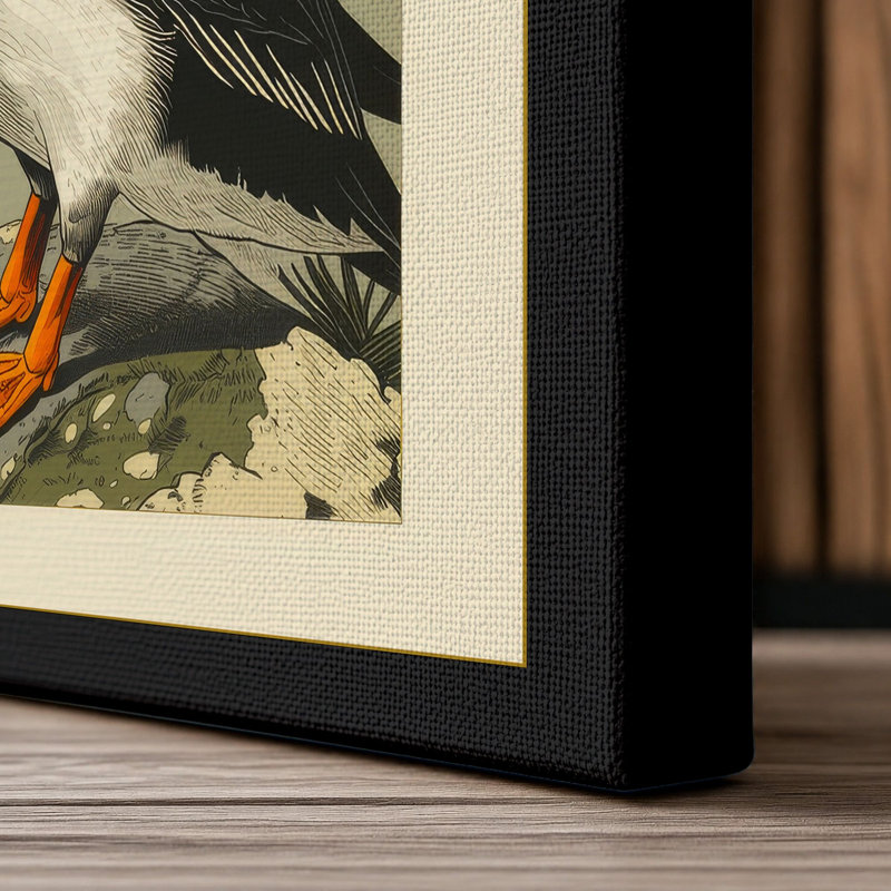 Puffin Study Botanical - Wrapped Canvas, Black Border, 18x12 - 45.7 x 30.5 cm