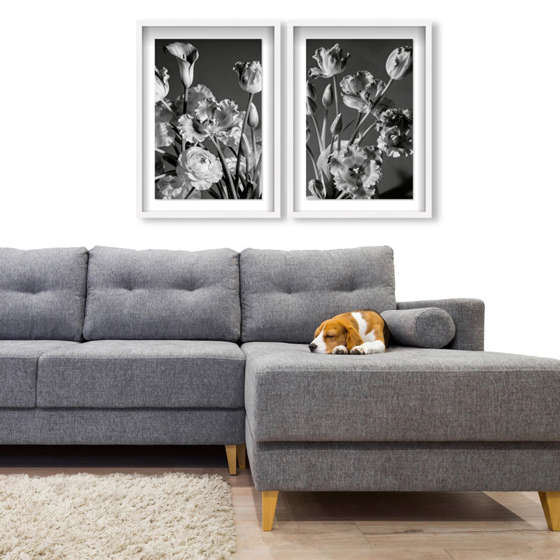 Botanique Noir Set Set by Oliver Gal, 25.5" H x 17.5" W, White Shadowbox