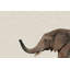 Side Elephant - Drawing on Canvas-1728322752