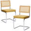 Chaises de salle à manger rembourrées Barnali-1702849766
