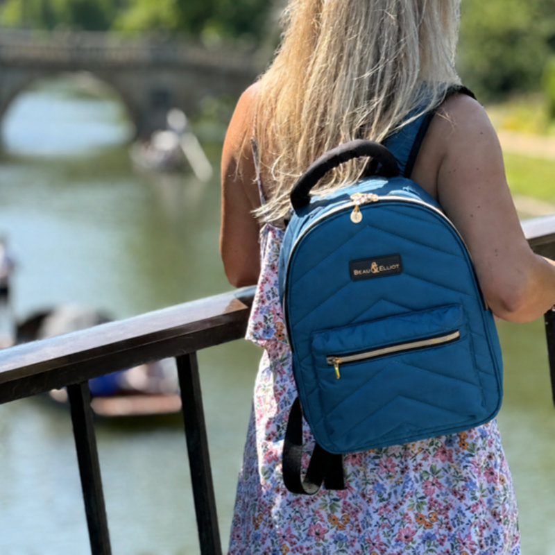 Cambridge Backpack Teal Chevron