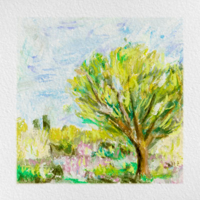 Summer Field IV by Melissa Wang - Wrapped Canvas Print