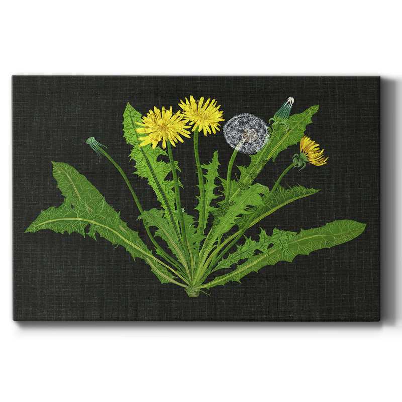 Wild Dandelion II - Wrapped Canvas Print, 18" W x 12" H