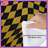 Wavy Checkered Pattern Comforter-128741711