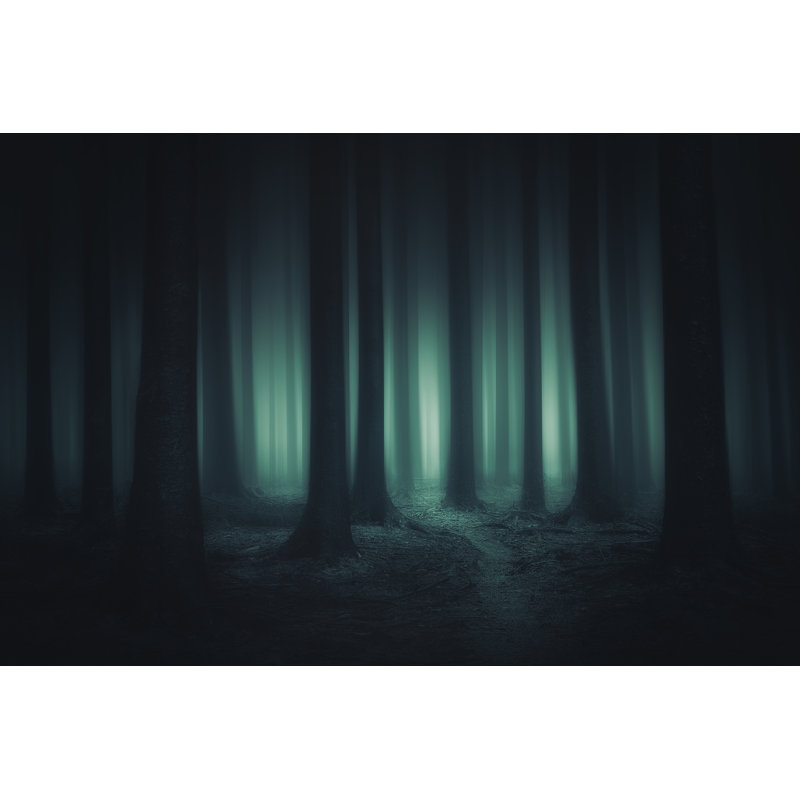 Dark And Scary Forest by Mimadeo - Wrapped Canvas Print, 30cm H x 46cm W