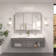 Gervon Rectangle Recessed Medicine Cabinet with Shelves