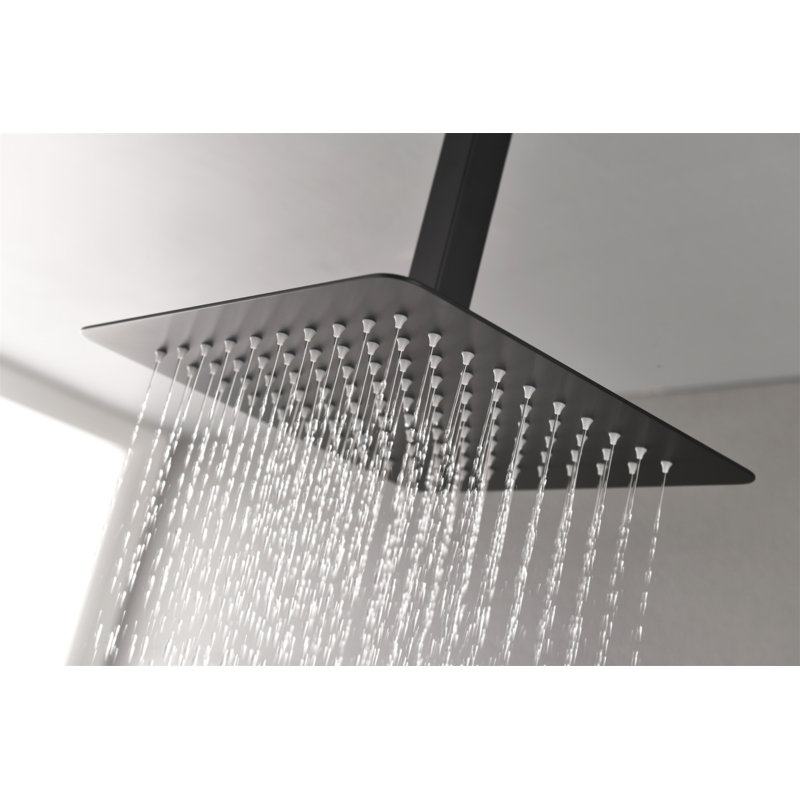 Rain Shower Head High Pressure Rainfall Showerhead Water Saving, Matte Black