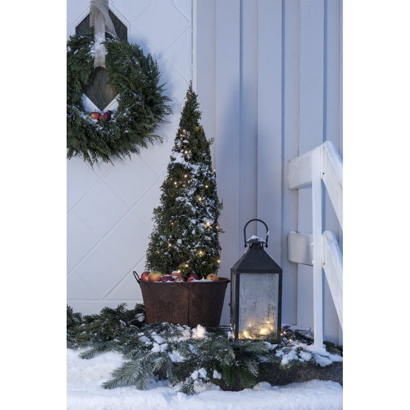 1624cm LED 40 - Bulb Wide Angle LED String Light, White, Black