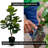 Hand-Made Primrue Artificial Fiddle Leaf Fig Tree-73559330