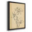 «Magnolia S croquis II», reproduction encadrée de qualité supérieure - prête à être accrochée-88285328-88285331