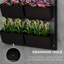 Support à plante noir suspendu avec 6 pots - 3 pots à fleurs auto-drainants pour plantes d'intérieur et d'extérieur