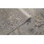 Windsom Oriental Area Rug in Beige
