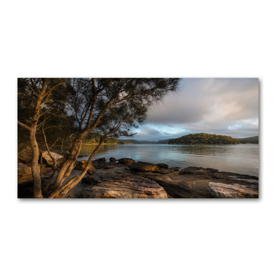 Tree By The River - Wrapped Canvas Print