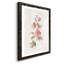«Blush Sweetly I», reproduction d'art sur papier encadrée-785962479-785962478