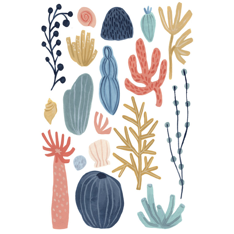 Reef Assortment I by June Erica Vess - Painting on Canvas, 91cm H x 61cm W, Wrapped Canvas