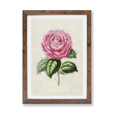 Garden Rose - Single Picture Frame Painting