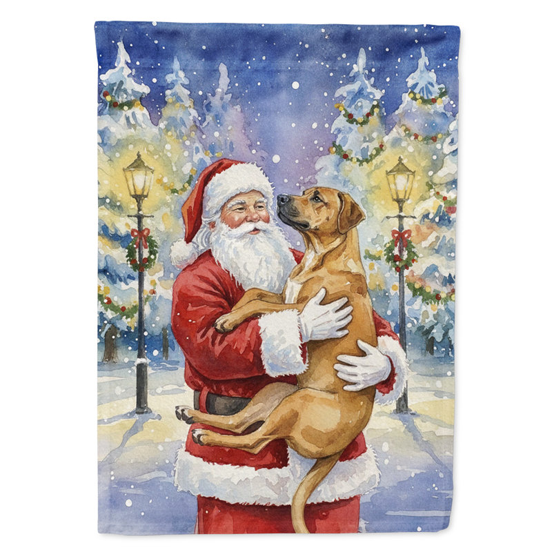 Rhodesian Ridgeback avec le drapeau de la maison du Père Noël, Taille de la maison, Chien de Rhodésie à crête dorsale
