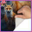 Tapis de bain Red Fox Family-693896527