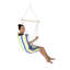 Belize Hanging Chair-36586490