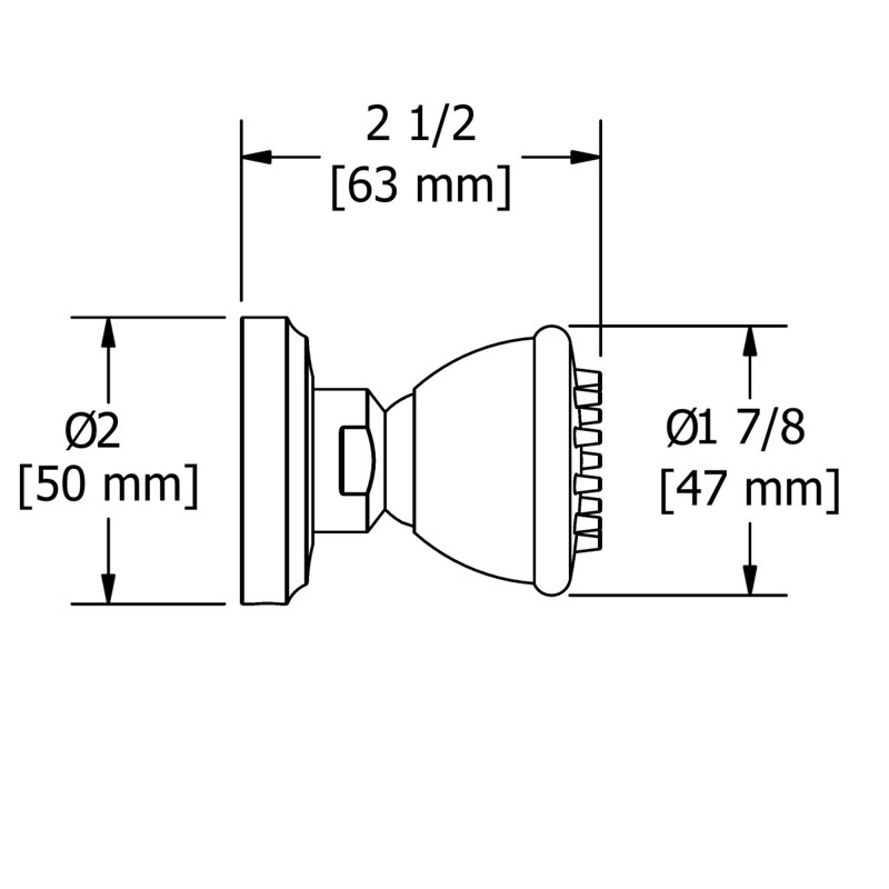 Polished Nickel Single Function Body Spray