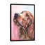 « irish setter », impression sur toile-72126146-72126147-72126153