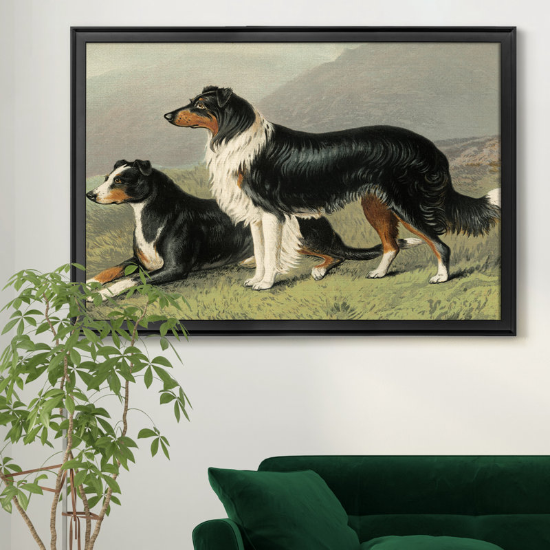 Sheep Dogs - Reproduction d'art sur toile encadrée, H 30,5 po x l 42,5 po x P 1,5 po, Noir