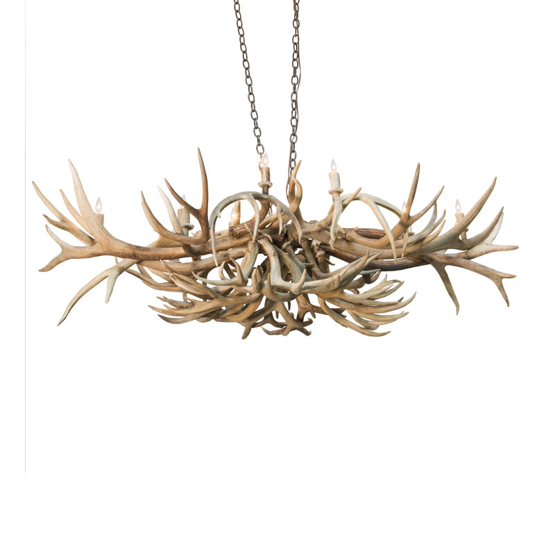 10 - Light Chandelier