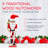 Christmas No Animal(s) Nutcracker