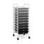 Daveney 10 Drawer Storage Drawer-2020606076